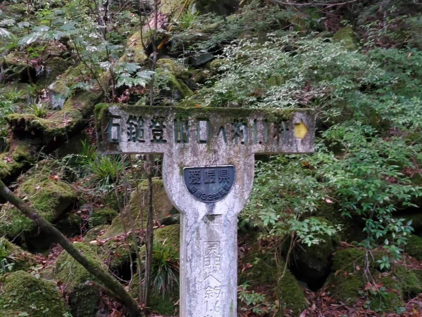 面河渓登山口-面河山 往復コースの写真