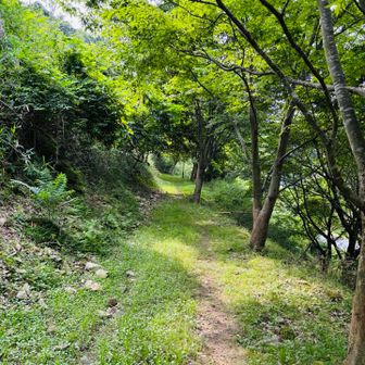 いい天気なんやけど。。。