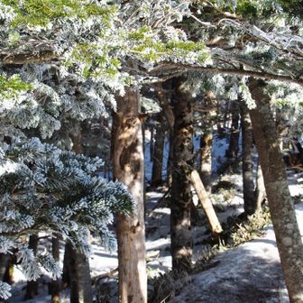 テンションが上がります✨️