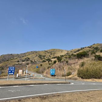 湖尻峠から。車道に歩行者は通れないことになっており、トレイルは車道の横の山を通っている。