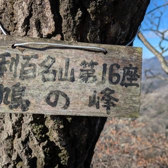 両崖山・仙人ヶ岳・石尊山 足百No16⛰️鳩ノ峰
南東下に⛳️ゴルフ場
木々はあるがよい位置、よい展望
そのため風もハンパない
倒木も
社も崩れるよね