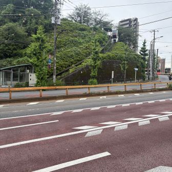 王子駅からすぐのところに飛鳥山
ミニケーブルカーみたいなのがありましたが、利用の仕方がよく分からないし、1人では乗りづらいので😅階段(徒歩)で上へ
