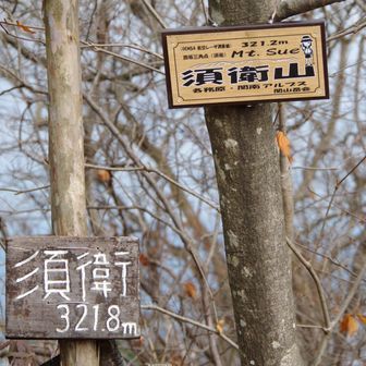 登頂！須衛山　ここから激下りの後、岩坂山まで細かいアップダウンが連続するゾーンです。精神的にやられやすいです。（やられた😭）