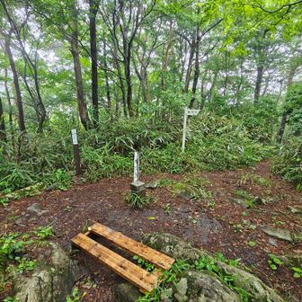 ようやく山頂へ到着！