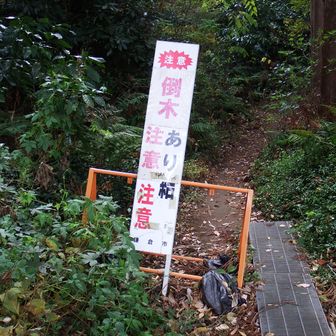 ここから衣張山に入ります。