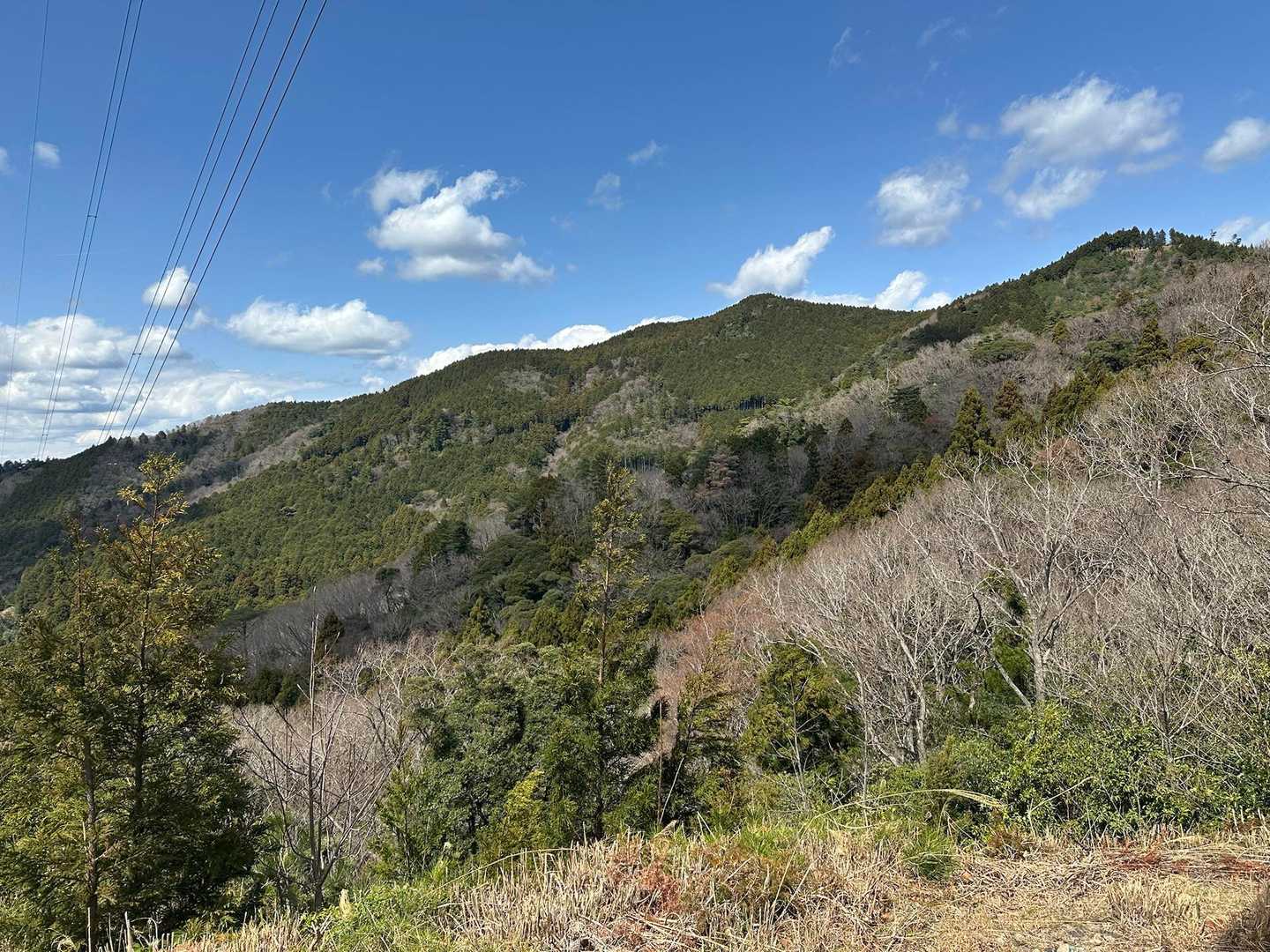 雨山城址-雨山山 往復コースの写真