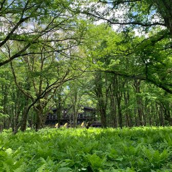 徳沢に到着
