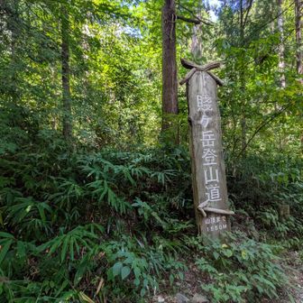 登山口まで下山しました！
