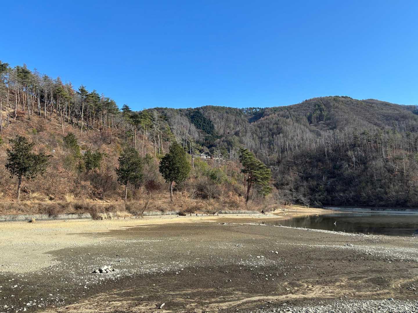 千鹿頭山-千鹿頭神社-広澤寺山-金華山 周回コースの写真