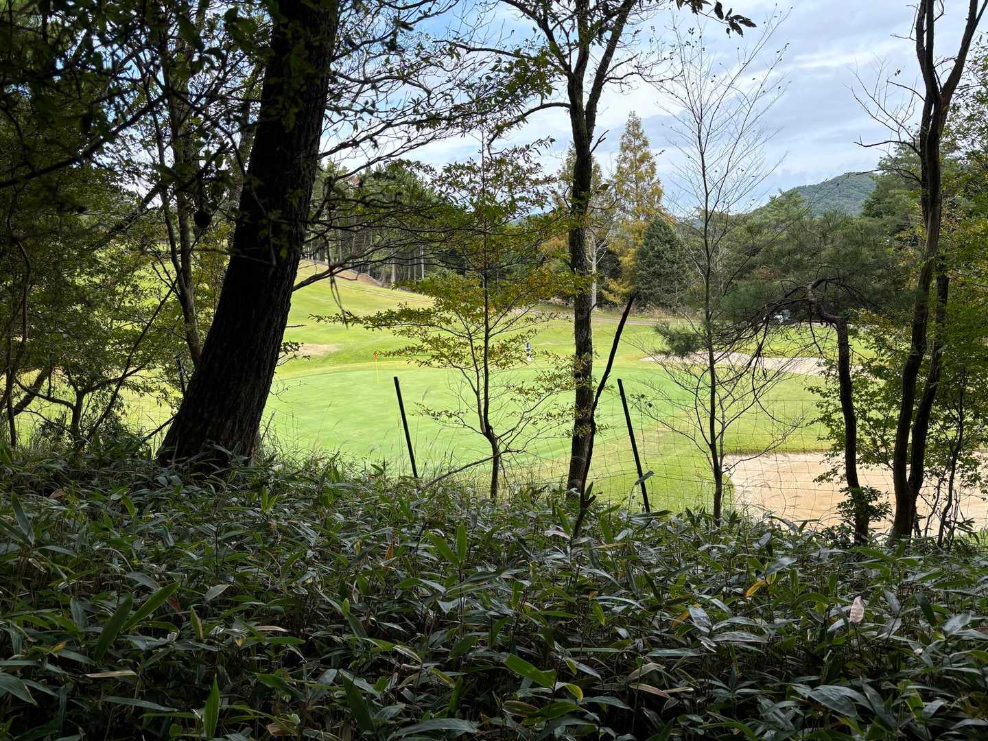ゴルフ⛳️してますよ〜