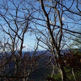 隙間からの富士山🗻予報では黄砂が舞うかも、となっていたので期待薄でしたがnice👍

大岳山の頂上まではドーン！の富士山はお預けな事は1度歩いたコースなので知っております。これから雲が掛かるなよぉ〜と念じながら😁