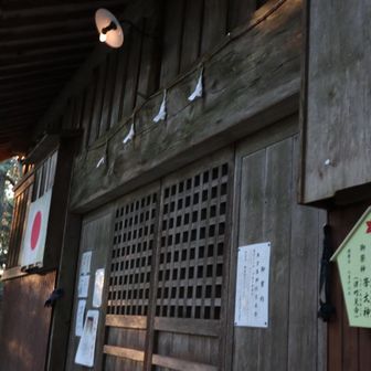 お山の神様〰︎🙏お久しぶり〰︎ふです✨🩲✨