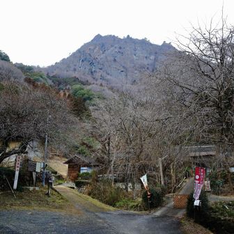 少し進むと更に分岐が有り今度は左へ