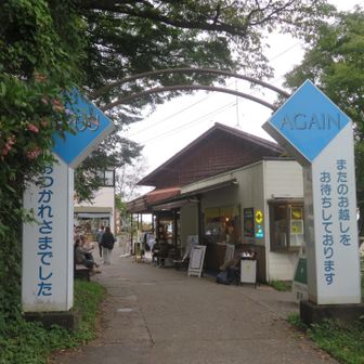 御岳山駅に到着🚠