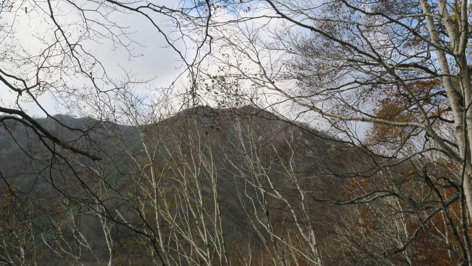 山頂⛰️が見えてきたところで…
