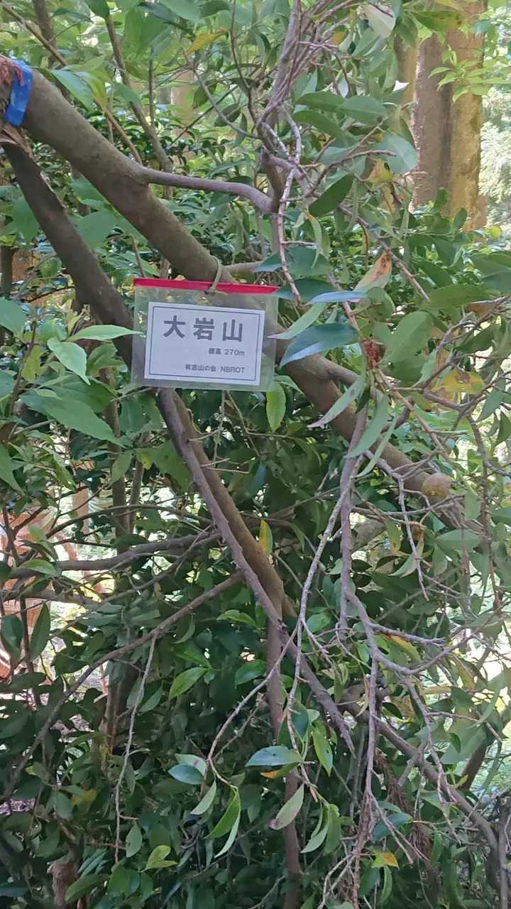 大岩山の写真