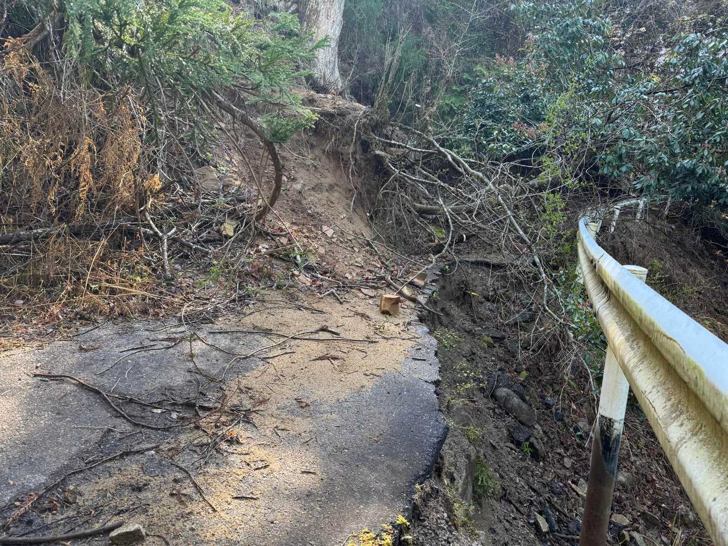 この山の最難所🥸
崩れてるとこをいそいそと…
写真中央上に立ってる木のところに登る😅