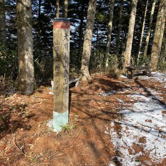 横岳まで戻ってきた。
雪がない🙄