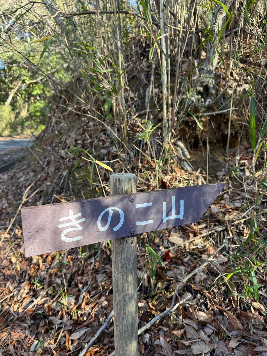 きのこ山 往復コースの写真