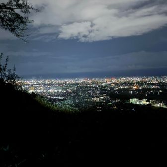 城山展望台から富山市夜景
