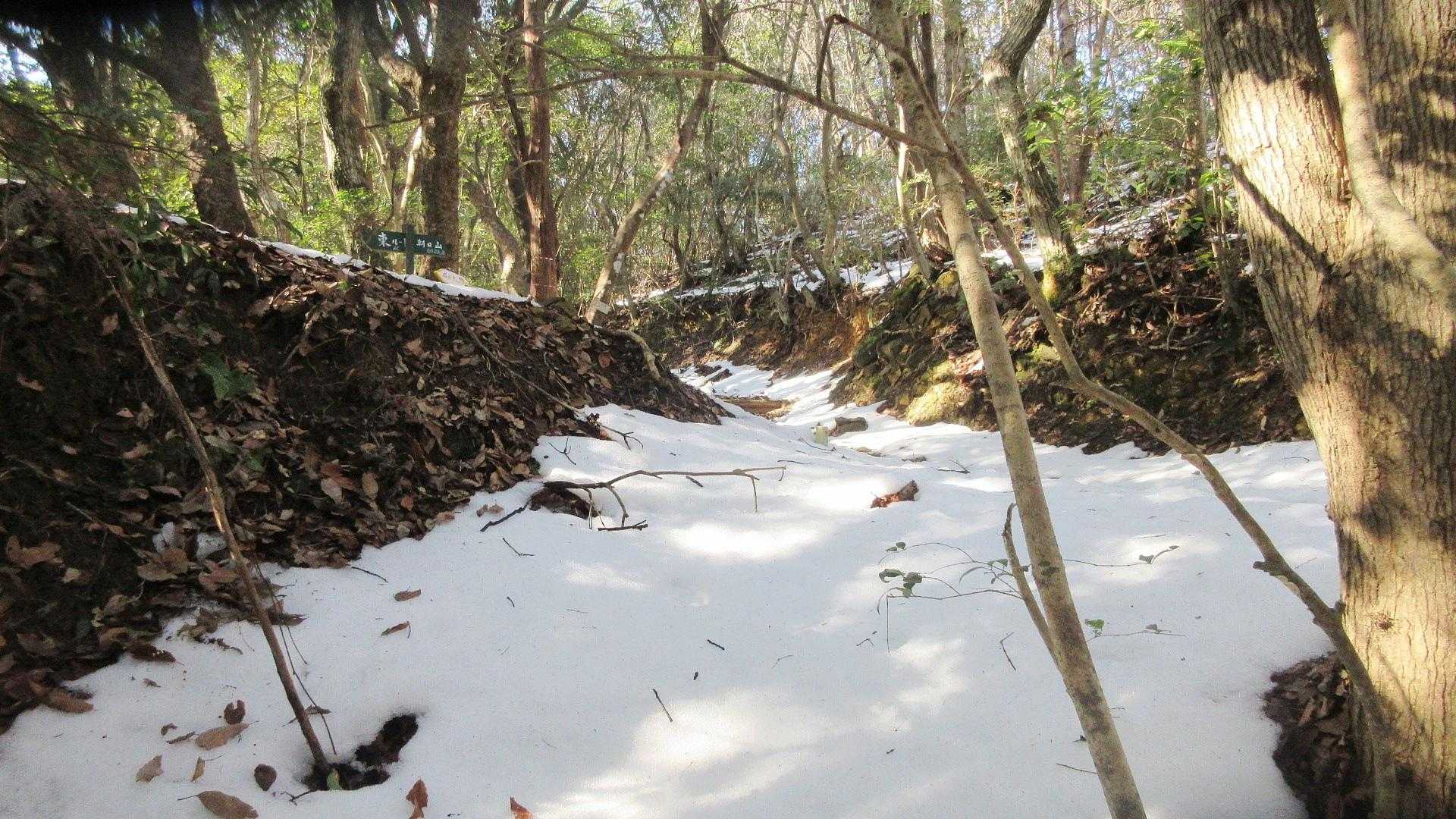 木段ルートに向かい🦵
