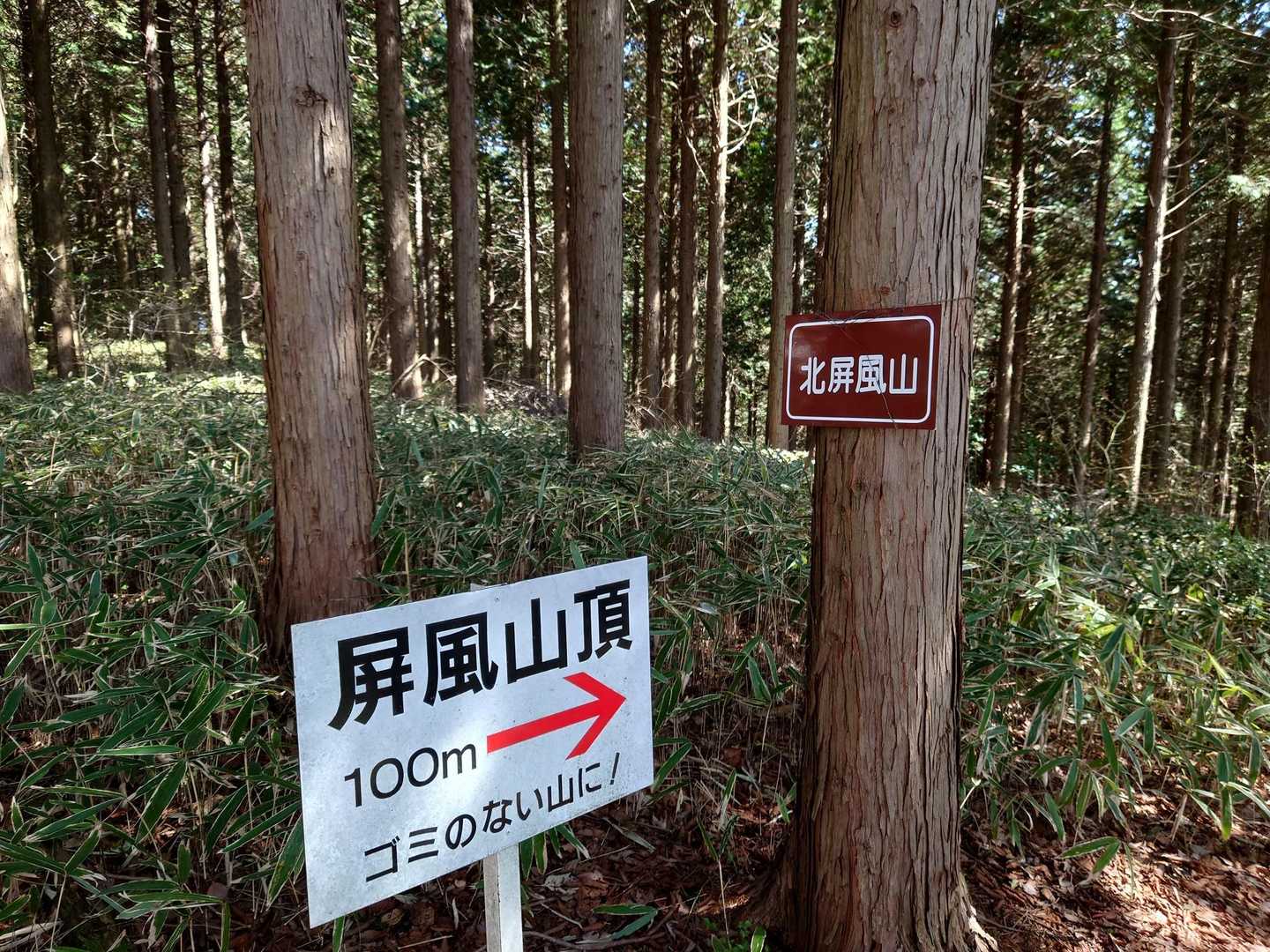 北屏風山
一旦戻ってトラバース道から北道で下山します