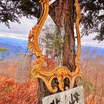 立派な鏡に映る景色はいかに🪞
もしかしたら違う世界かも！
手を伸ばしたら吸い込まれるのか🌀