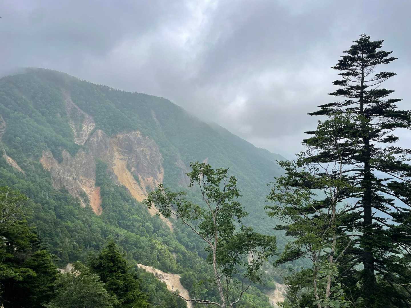 金精峠登山口-金精峠-金精山-五色山 往復コースの写真