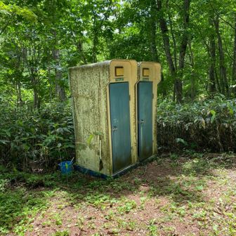 トイレが近いのでありがたい。