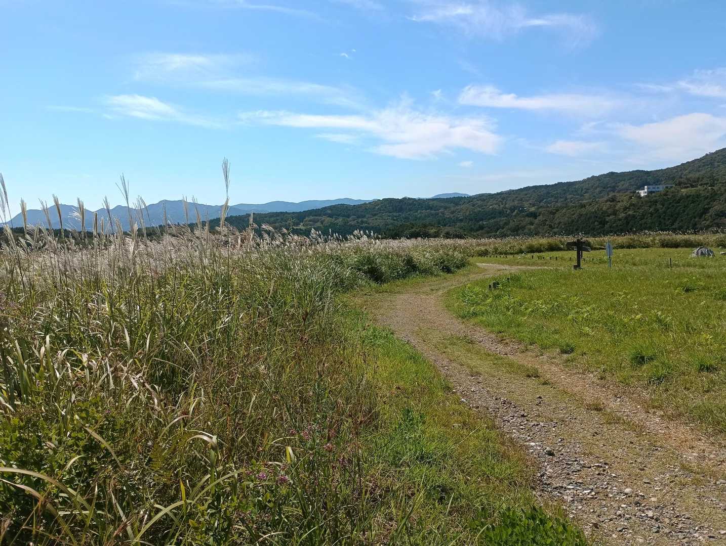 分岐を右に登って行きます。