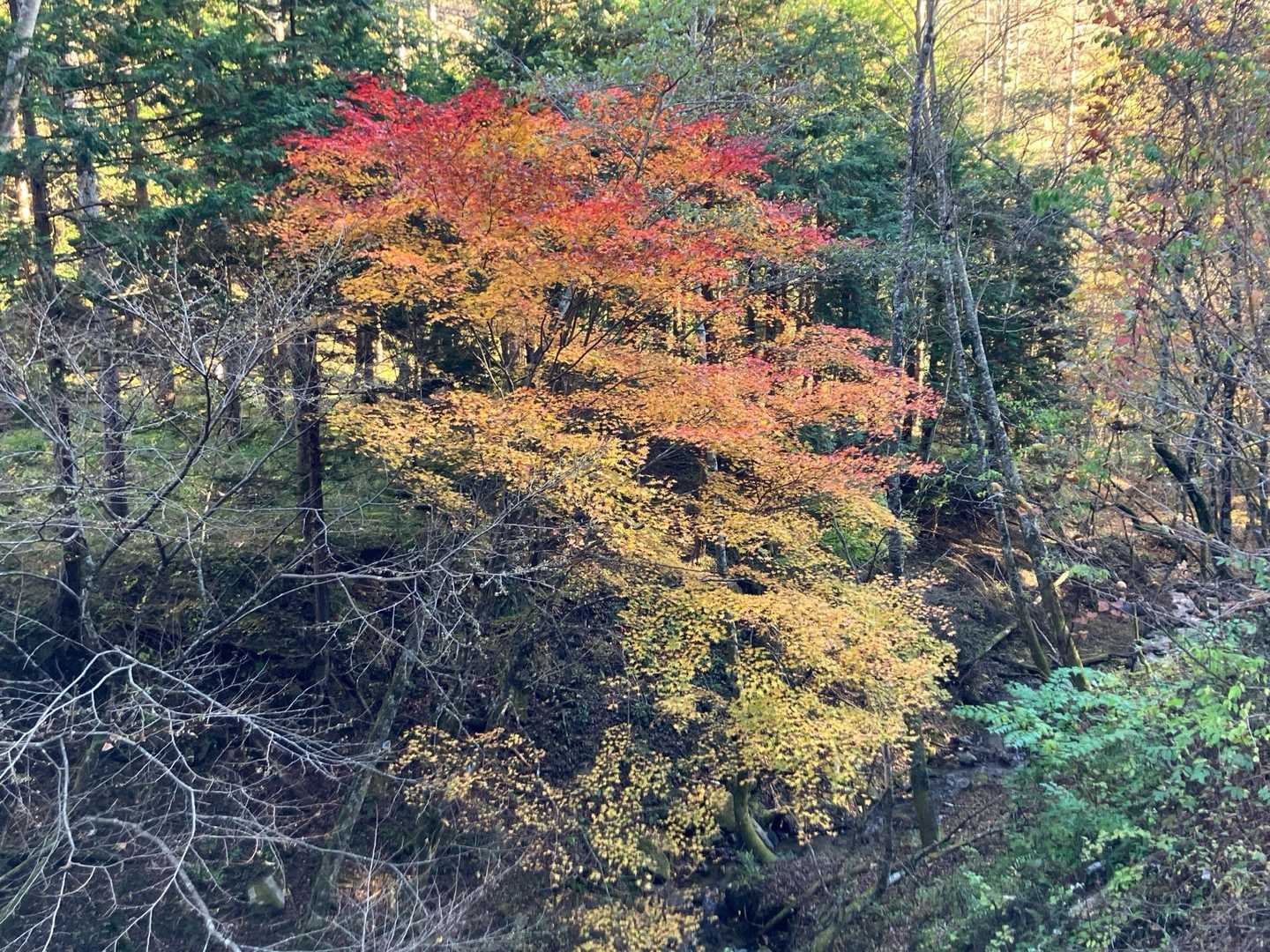 この先は舗装路歩きが続きます