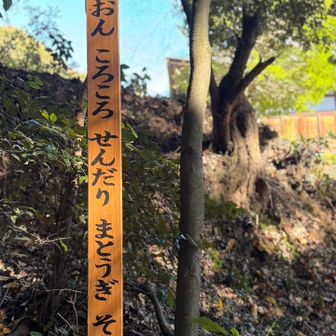 何かのクイズか
謎解きメッセージかと思った😅