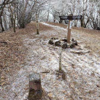 山頂はこんな感じで広い。