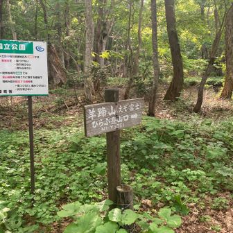 ヒラフコースは初めて