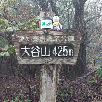 大谷山もピークGET👍