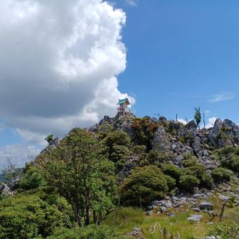 ※やっと祠が見えた😂ここまで5時間歩いたわ☀️😵💦