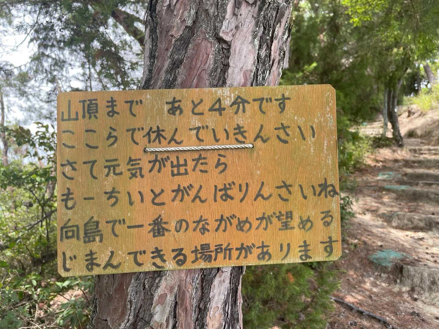 高見山登山口 往復コースの写真