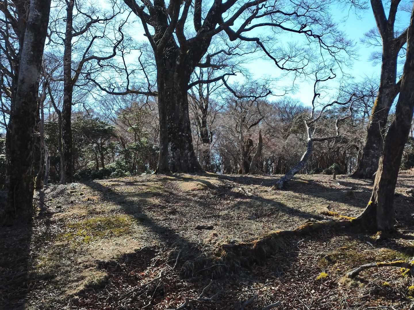 馬場平 広く景観も良く休憩にちょうど良かった