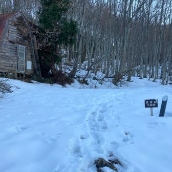 5合目から急に積雪