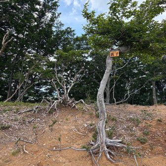 銚子登頂です。