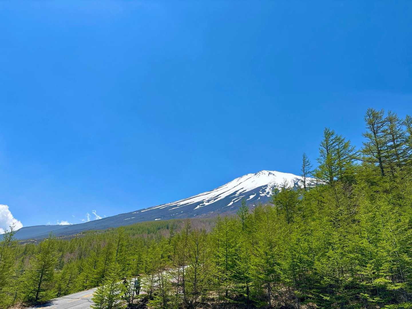 (/｡'(ｪ)')おつかれクマでした♪♪