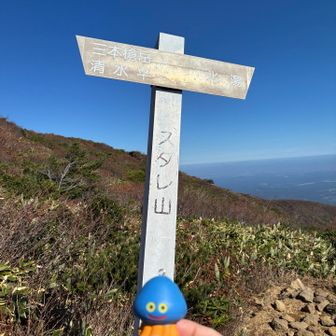 スダレ山 頂きました。
あまりピークって感じしない。