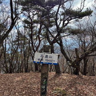 ここのピークは樹林帯で富士山は見えず…
富士山に逢えない…不逢山ってことっすか？