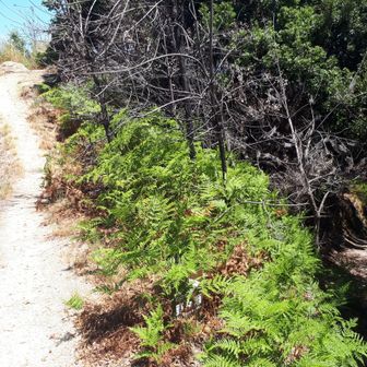一度下山し、おんびき岩を回って帰ります。
