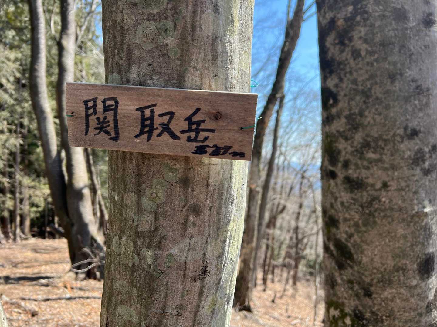 6座目 関取岳