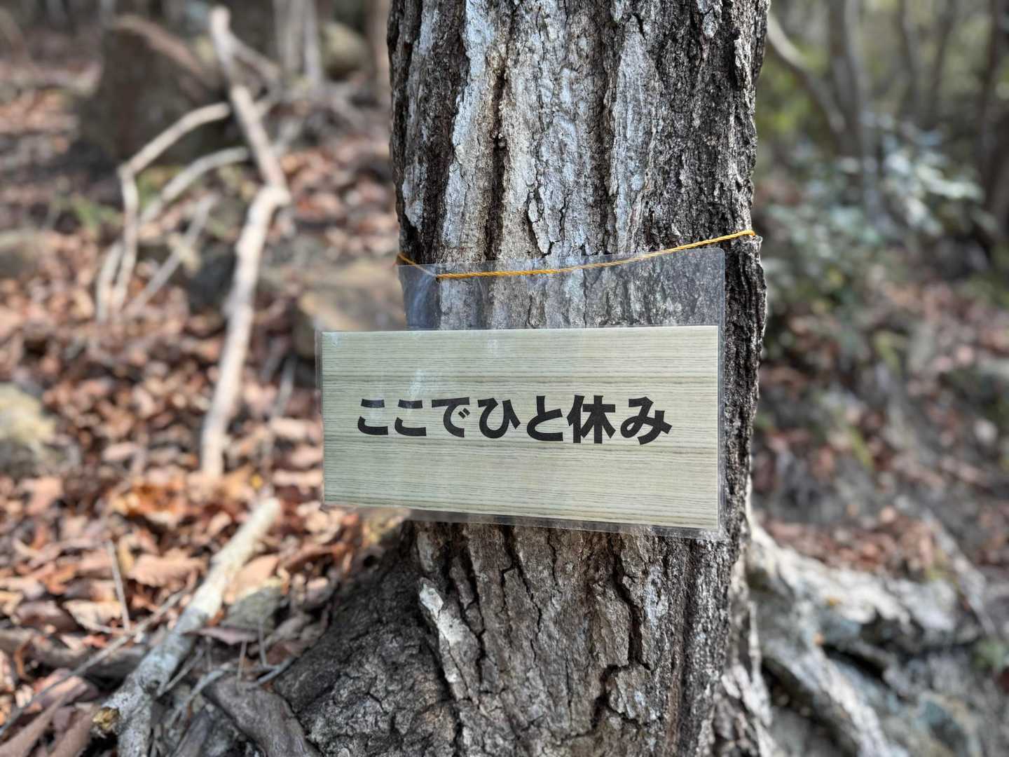この言葉好き😊展望あります！！