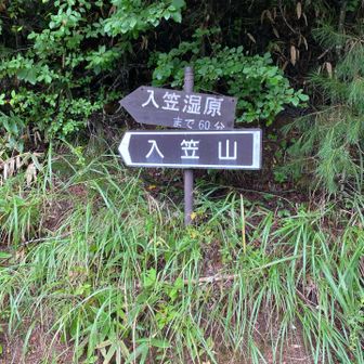 登山口