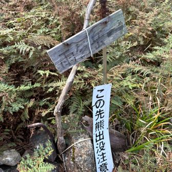 次は雨乞岳を目指します