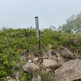 行きに通らなかったので九合目

帰りはピストンなので写真なし笑