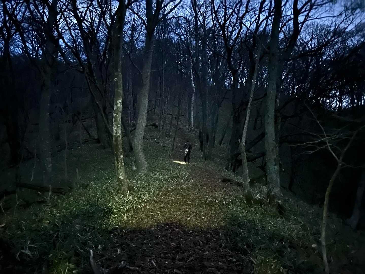 横山登山口-横山中岳 往復コースの写真
